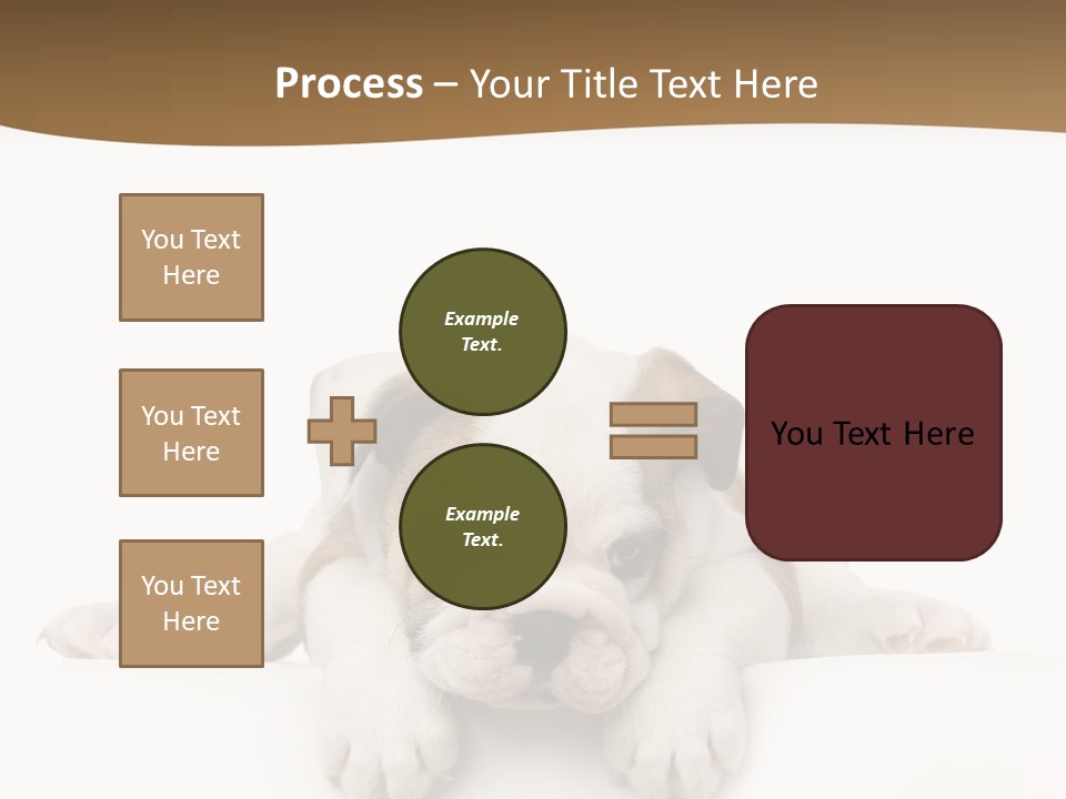 Friend Domestic Animals Breed PowerPoint Template