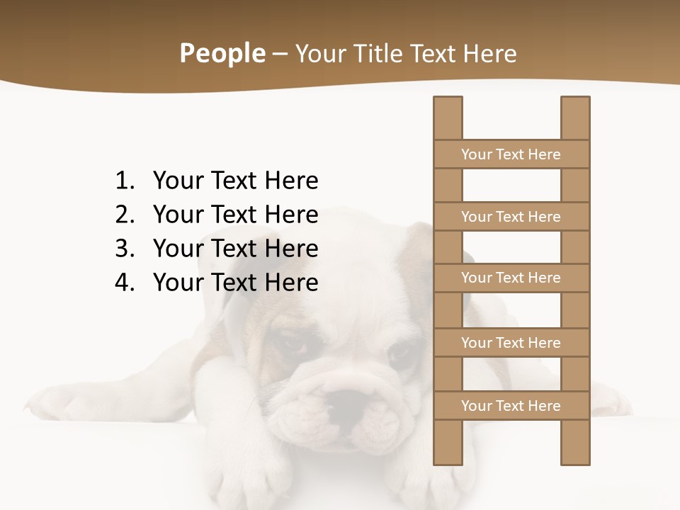Friend Domestic Animals Breed PowerPoint Template