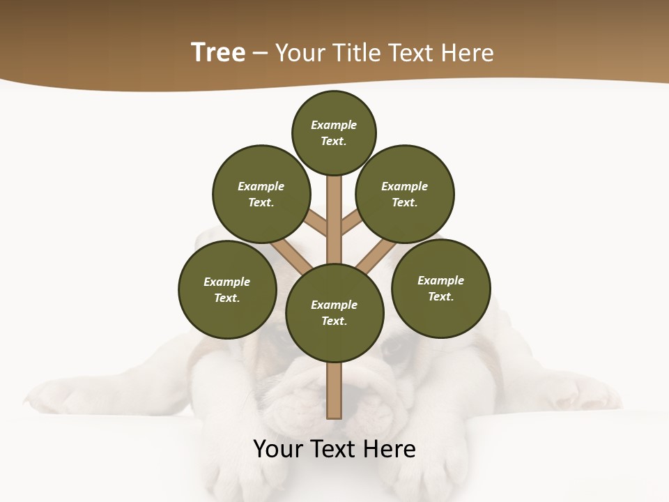 Friend Domestic Animals Breed PowerPoint Template