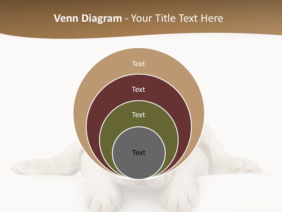 Friend Domestic Animals Breed PowerPoint Template