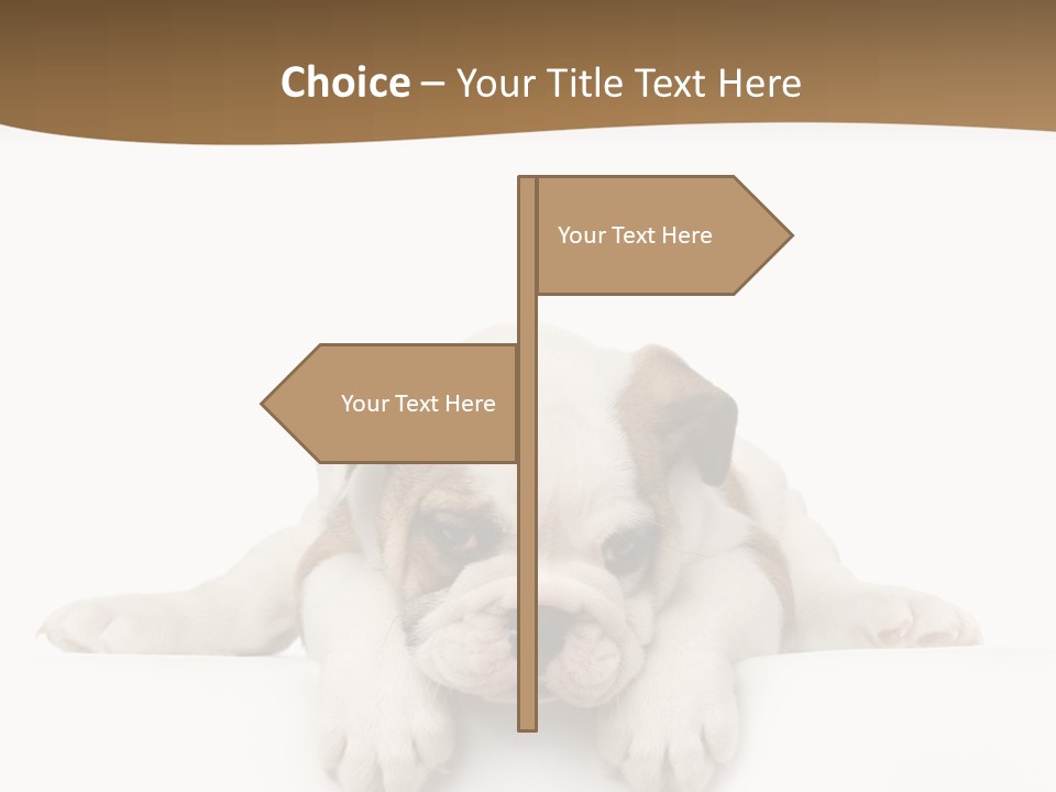 Friend Domestic Animals Breed PowerPoint Template