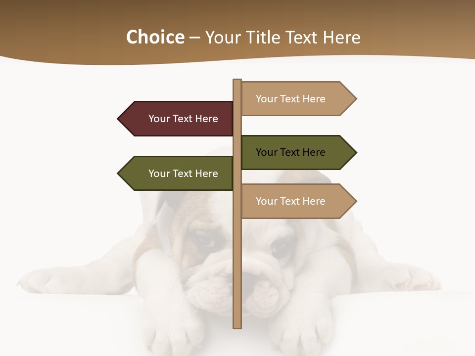 Friend Domestic Animals Breed PowerPoint Template