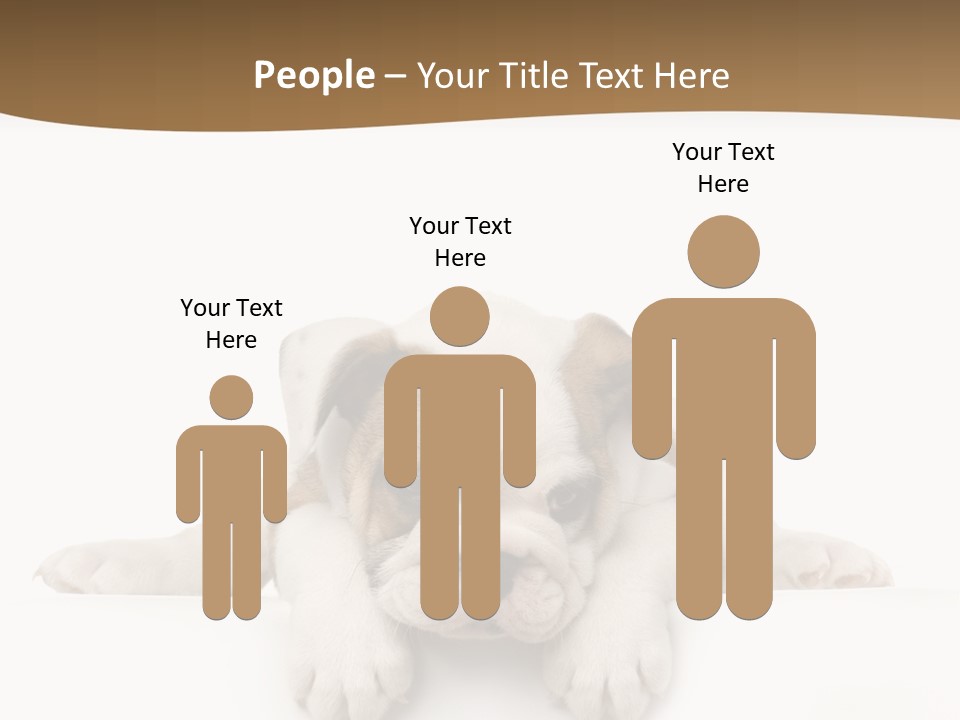 Friend Domestic Animals Breed PowerPoint Template