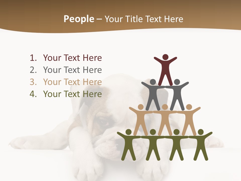 Friend Domestic Animals Breed PowerPoint Template