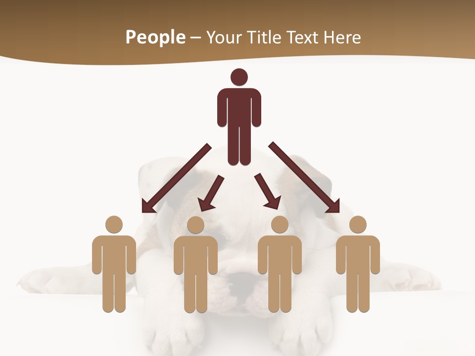 Friend Domestic Animals Breed PowerPoint Template