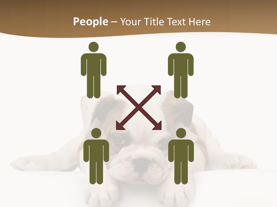 Friend Domestic Animals Breed PowerPoint Template