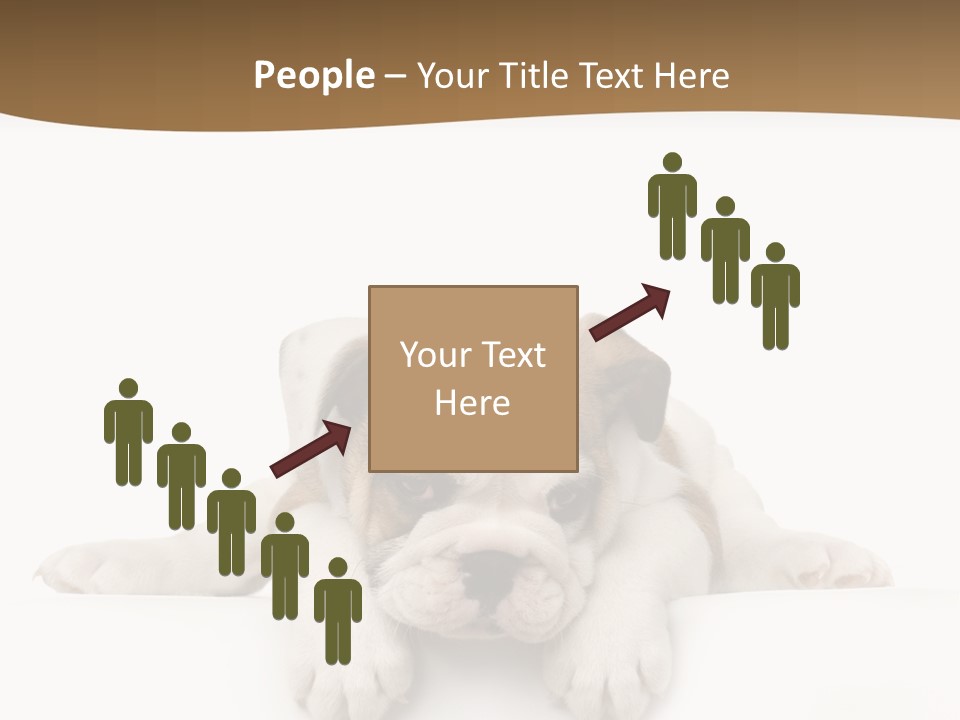 Friend Domestic Animals Breed PowerPoint Template