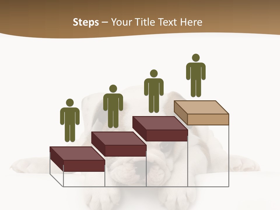 Friend Domestic Animals Breed PowerPoint Template