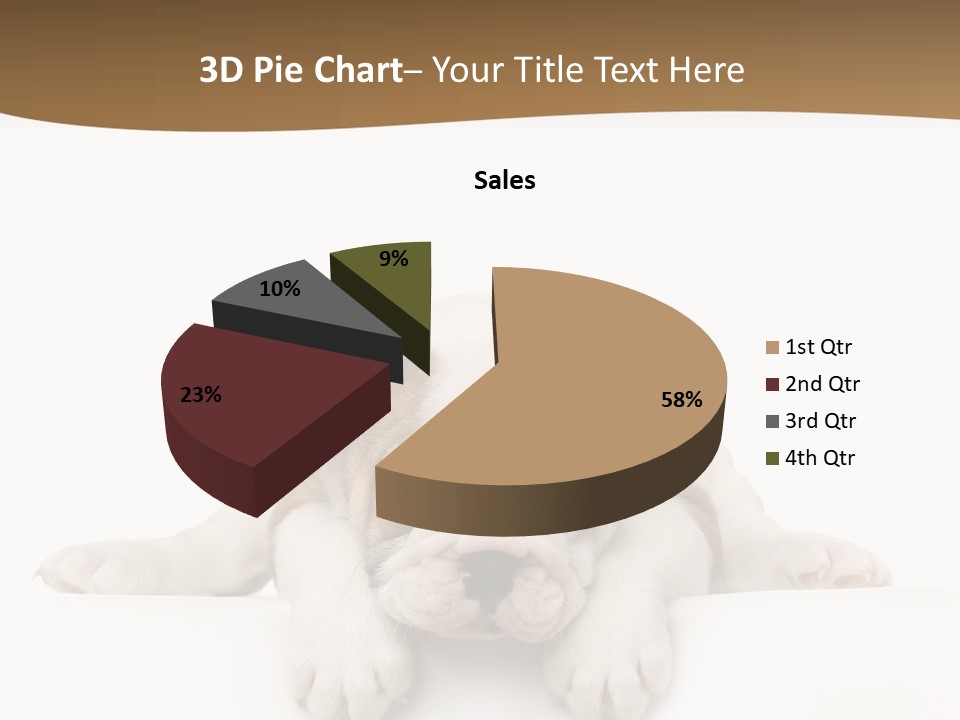 Friend Domestic Animals Breed PowerPoint Template