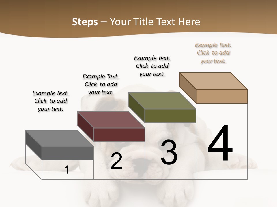 Friend Domestic Animals Breed PowerPoint Template