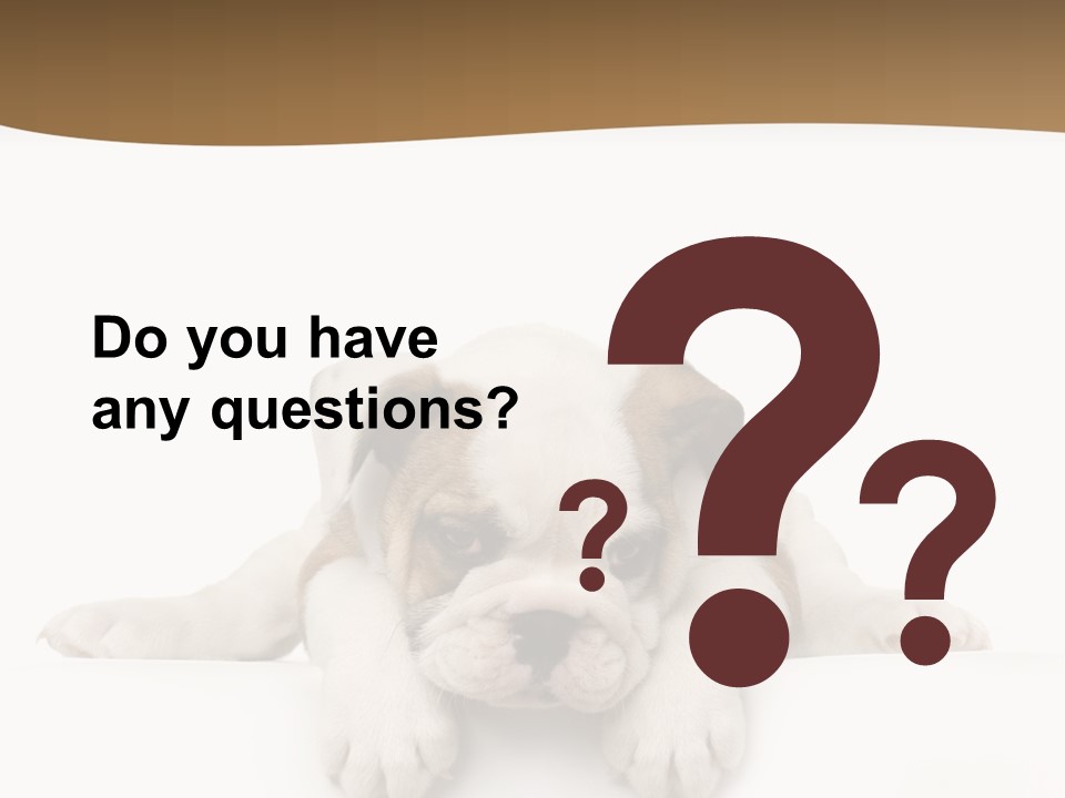 Friend Domestic Animals Breed PowerPoint Template