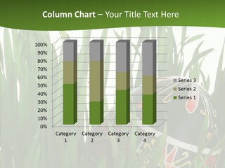 Ukrainian Slavic Straw PowerPoint Template