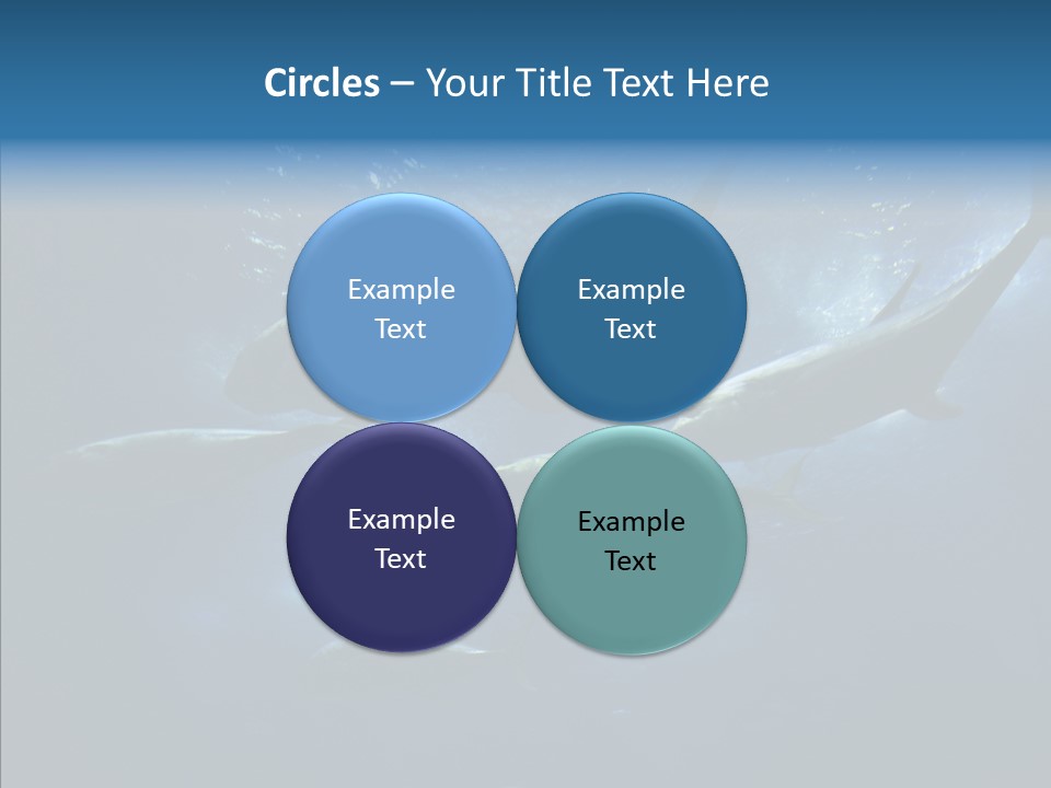 Space Photograph Animals PowerPoint Template