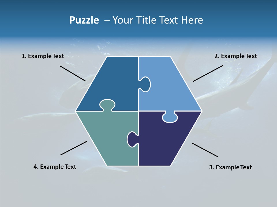 Space Photograph Animals PowerPoint Template