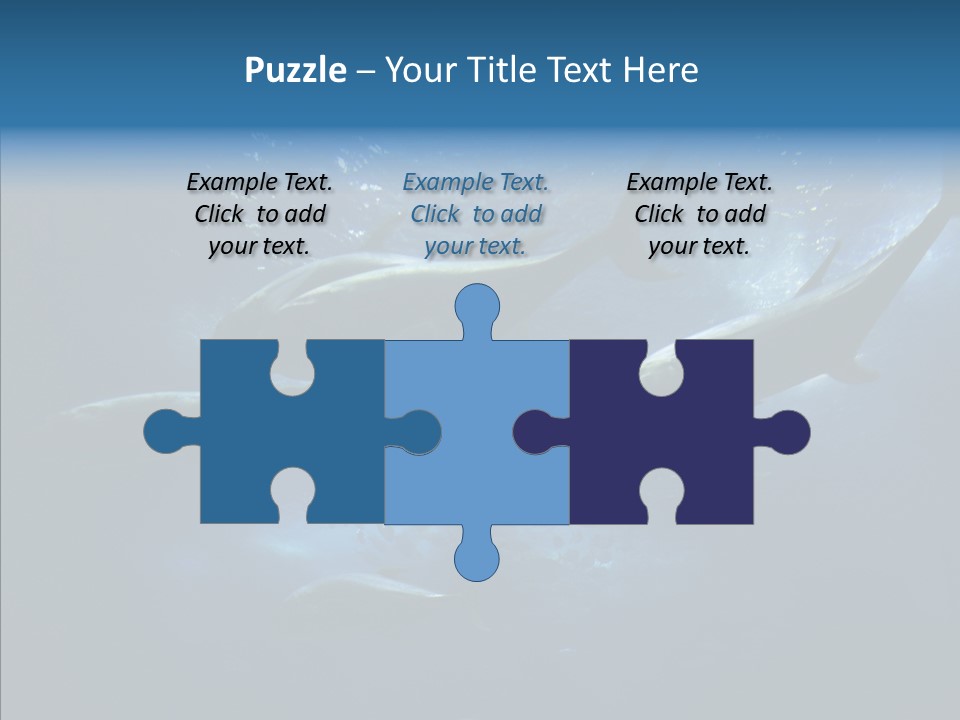 Space Photograph Animals PowerPoint Template