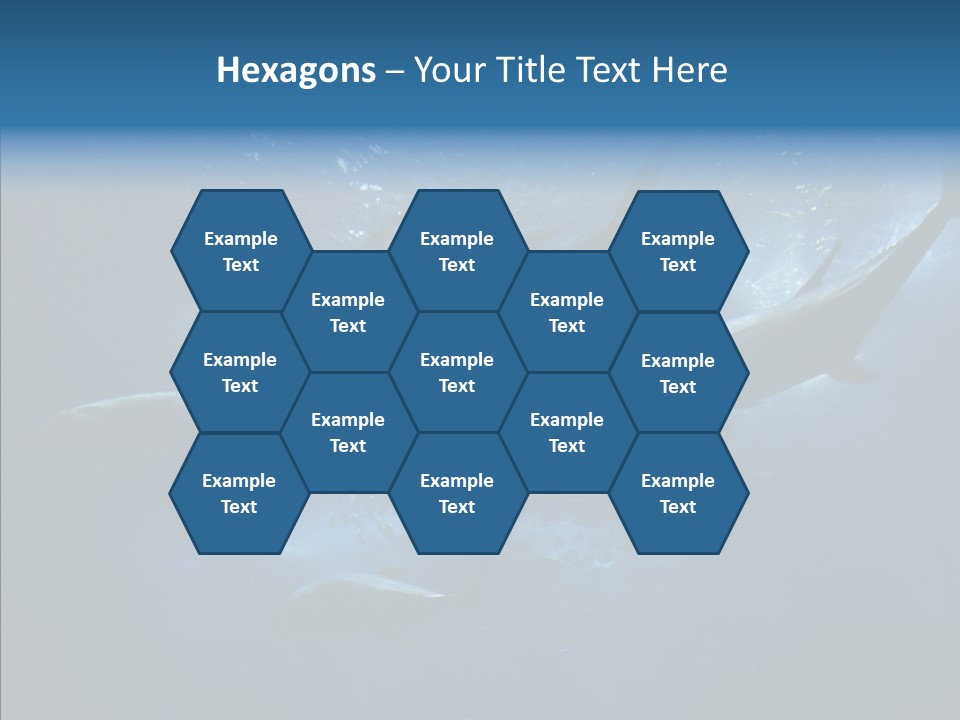 Space Photograph Animals PowerPoint Template