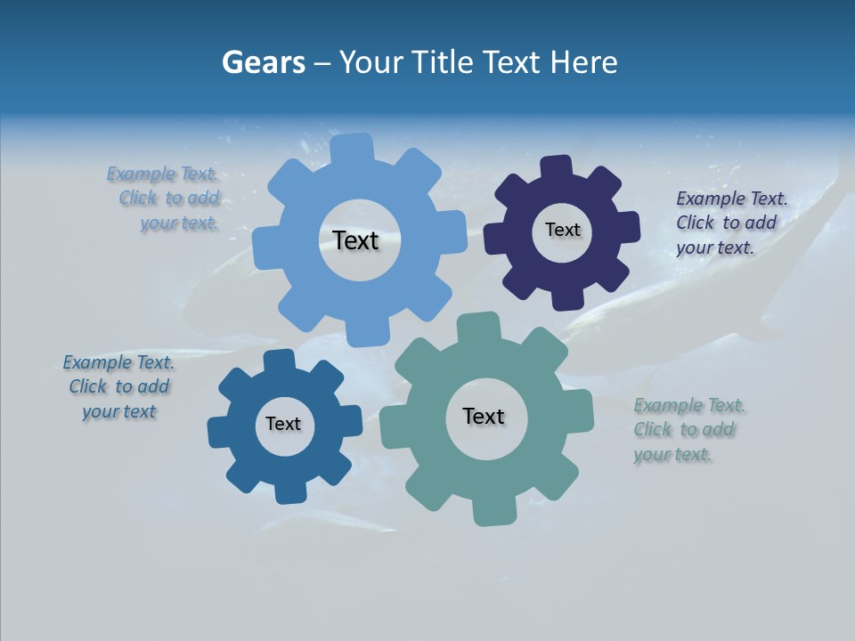 Space Photograph Animals PowerPoint Template