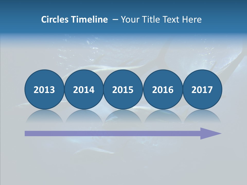 Space Photograph Animals PowerPoint Template