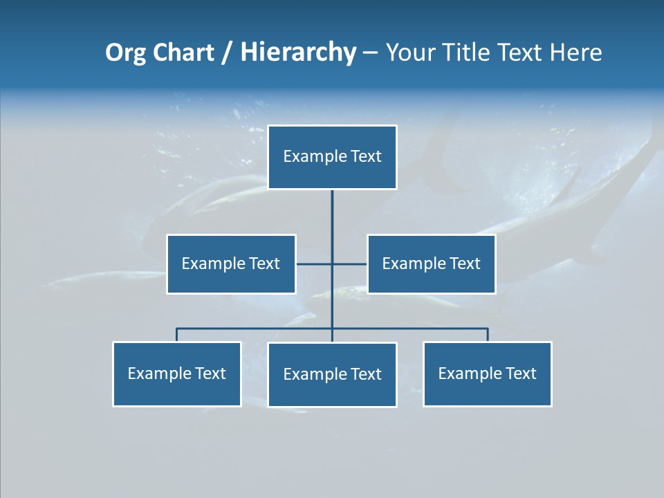 Space Photograph Animals PowerPoint Template