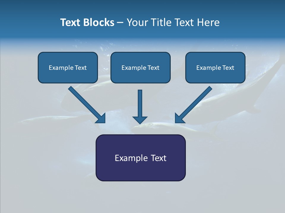 Space Photograph Animals PowerPoint Template