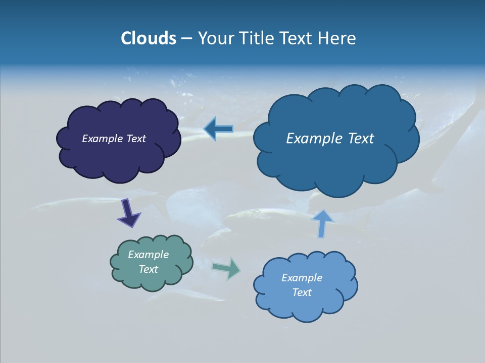 Space Photograph Animals PowerPoint Template