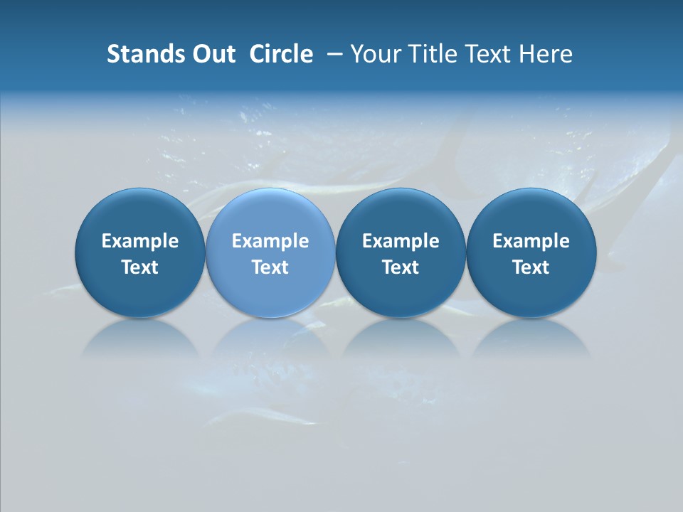 Space Photograph Animals PowerPoint Template