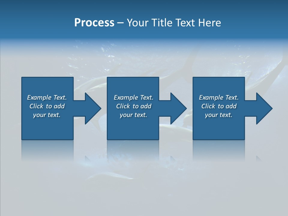 Space Photograph Animals PowerPoint Template