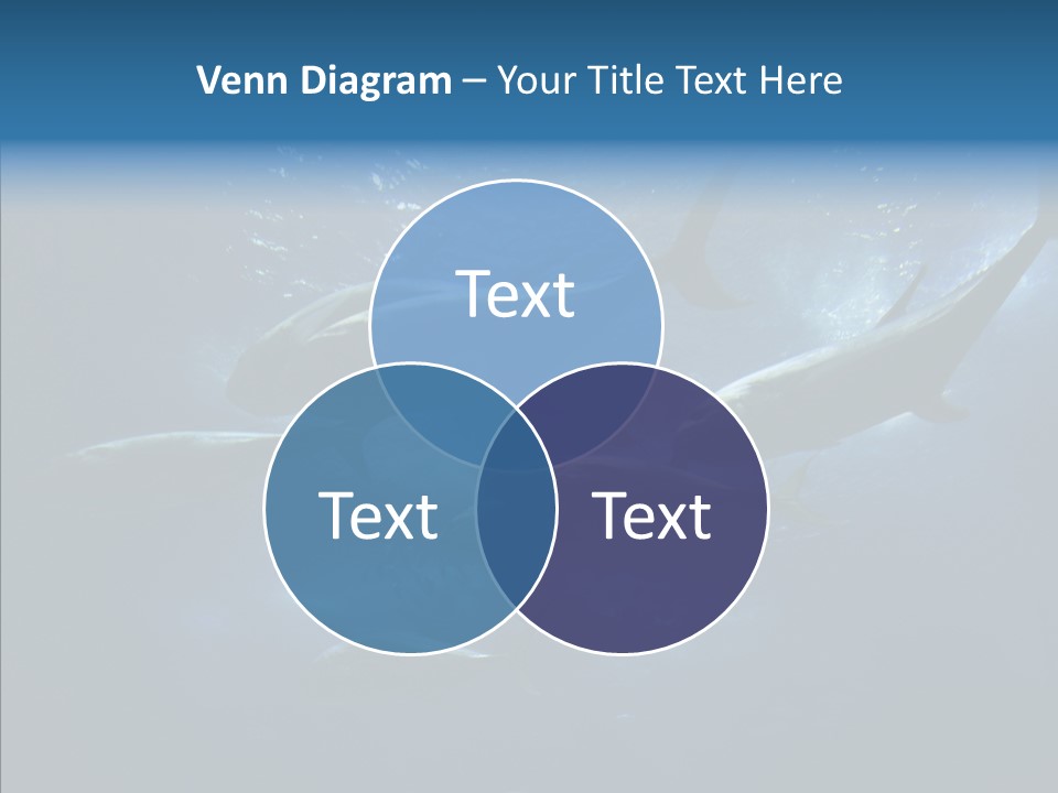 Space Photograph Animals PowerPoint Template