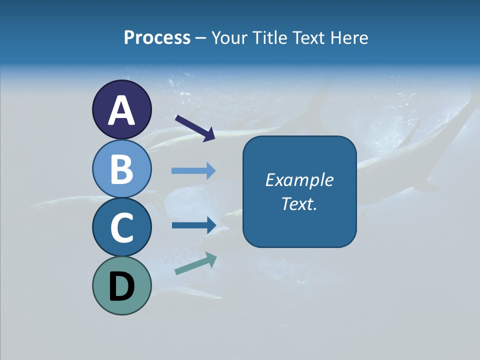 Space Photograph Animals PowerPoint Template