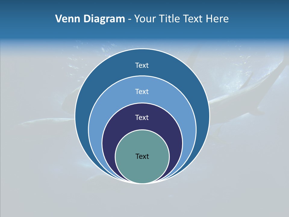 Space Photograph Animals PowerPoint Template
