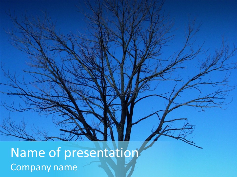 Sky Foliage Tree PowerPoint Template