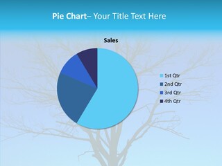 Sky Foliage Tree PowerPoint Template