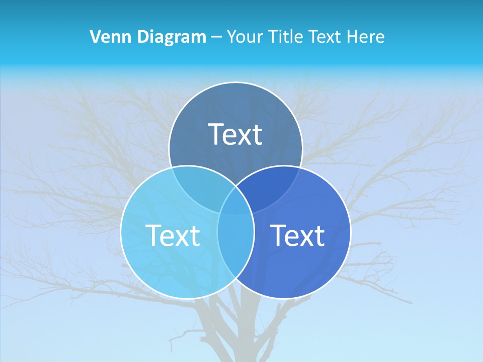 Sky Foliage Tree PowerPoint Template