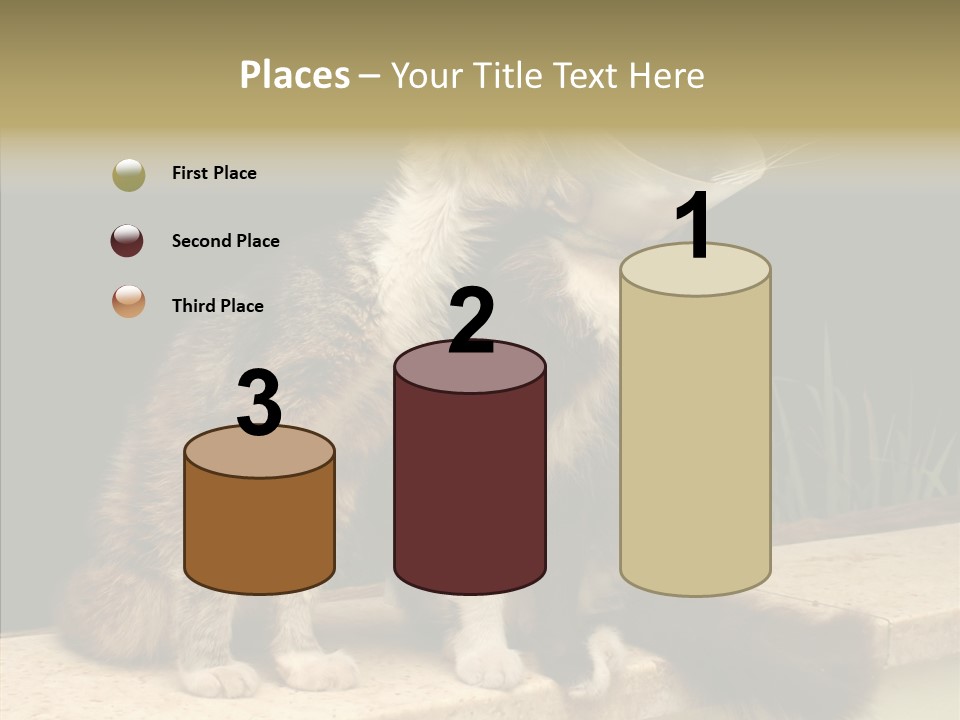 Cuddly Domestic Sick PowerPoint Template