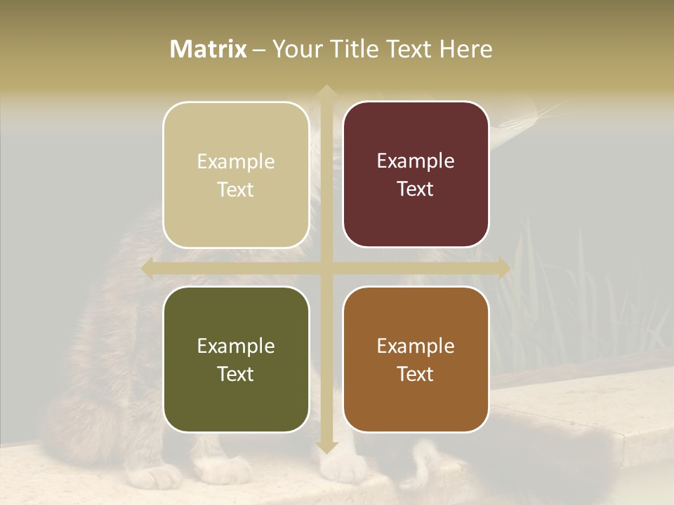 Cuddly Domestic Sick PowerPoint Template