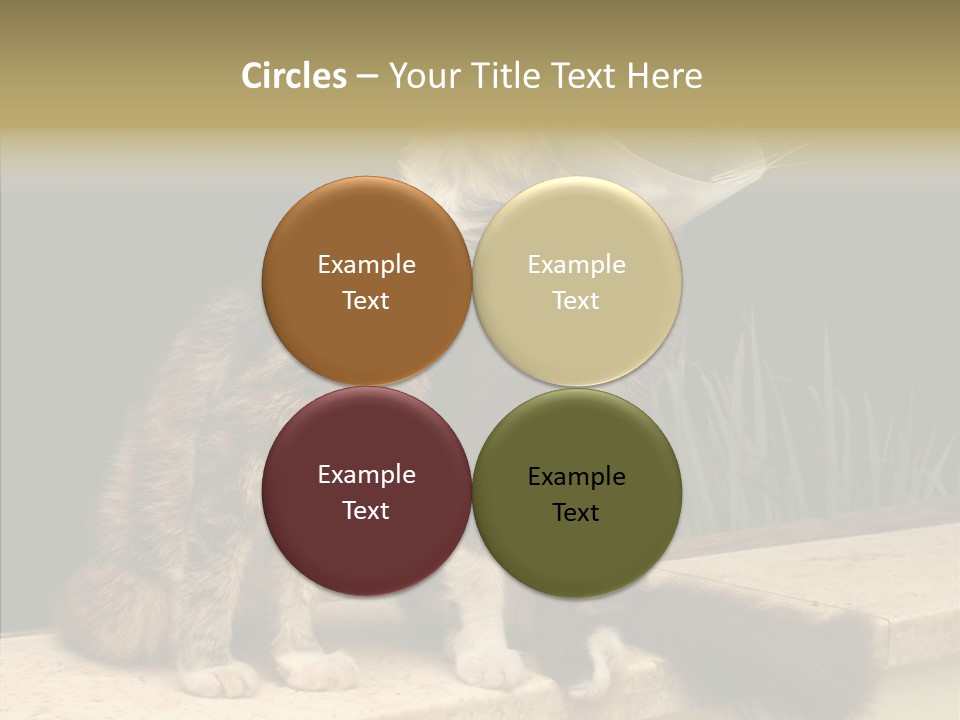 Cuddly Domestic Sick PowerPoint Template