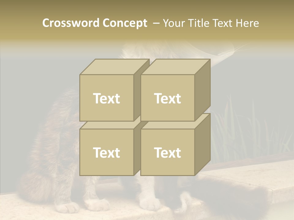 Cuddly Domestic Sick PowerPoint Template