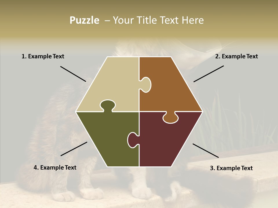 Cuddly Domestic Sick PowerPoint Template