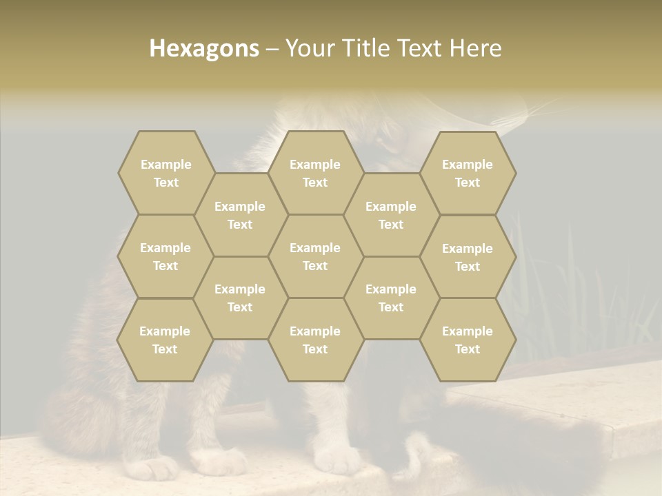 Cuddly Domestic Sick PowerPoint Template