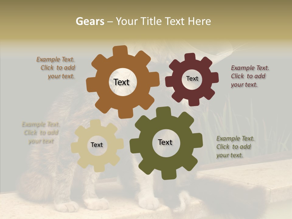 Cuddly Domestic Sick PowerPoint Template