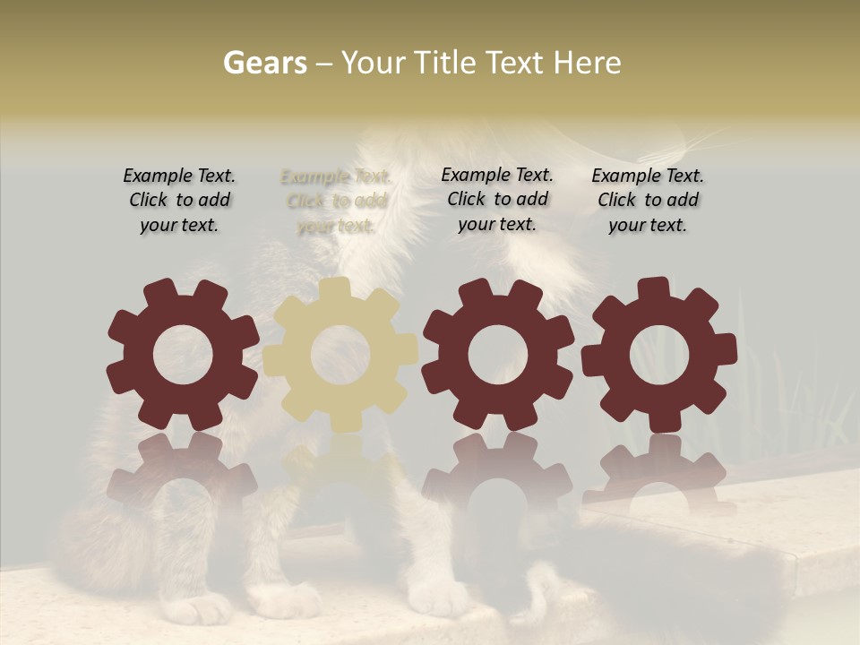 Cuddly Domestic Sick PowerPoint Template