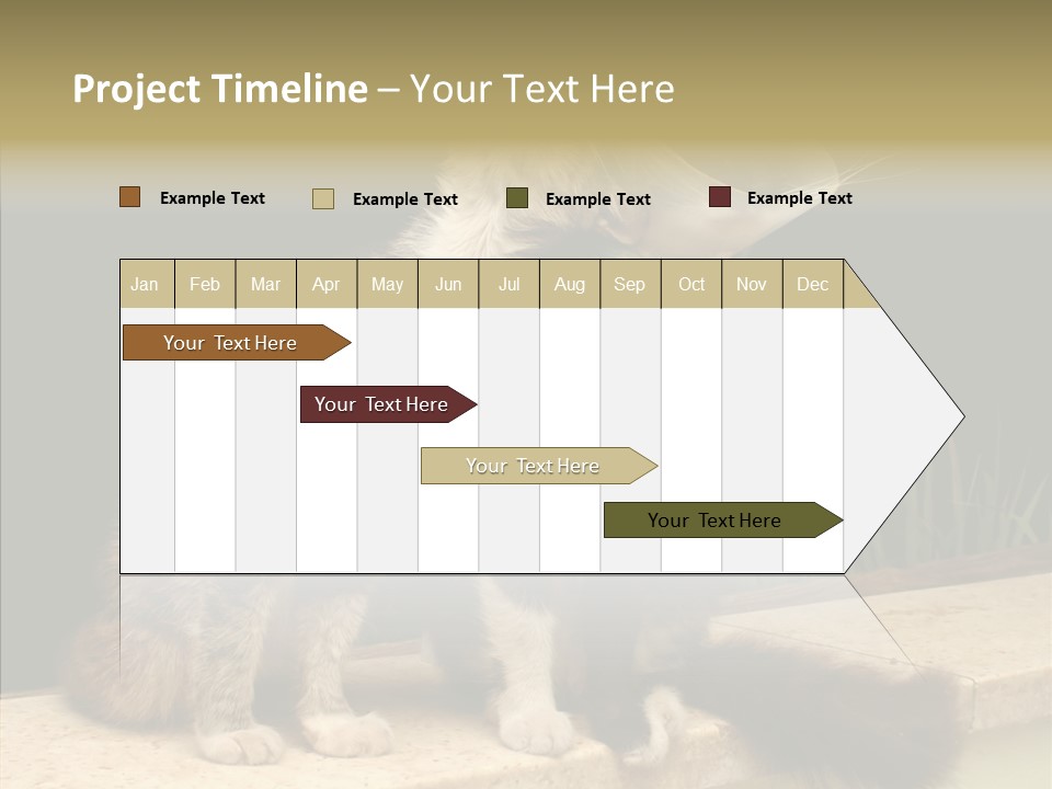 Cuddly Domestic Sick PowerPoint Template