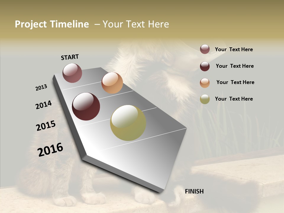 Cuddly Domestic Sick PowerPoint Template