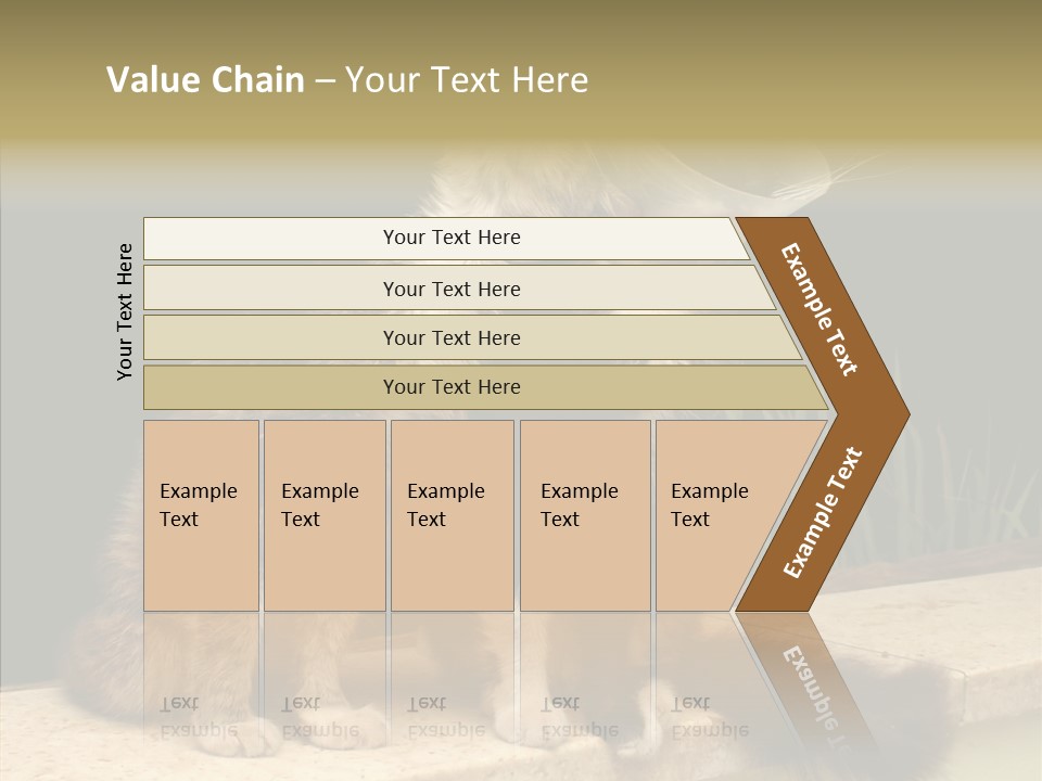 Cuddly Domestic Sick PowerPoint Template