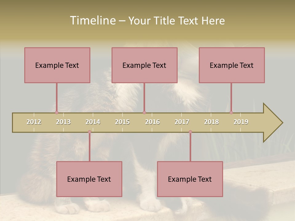 Cuddly Domestic Sick PowerPoint Template