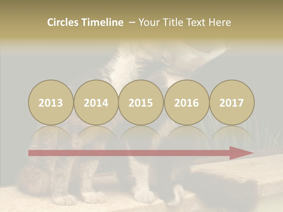 Cuddly Domestic Sick PowerPoint Template