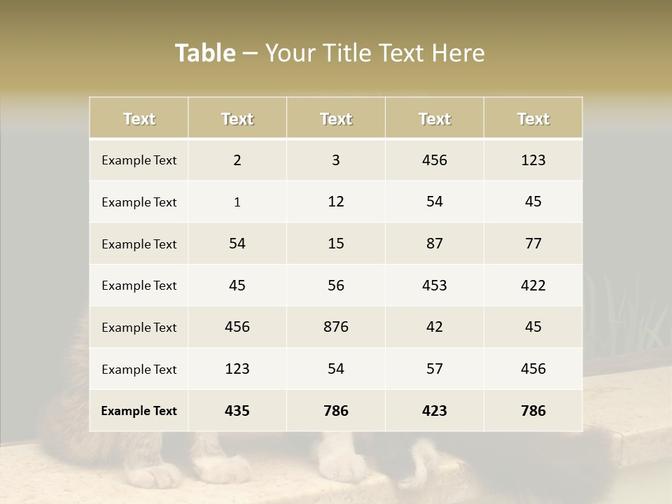 Cuddly Domestic Sick PowerPoint Template