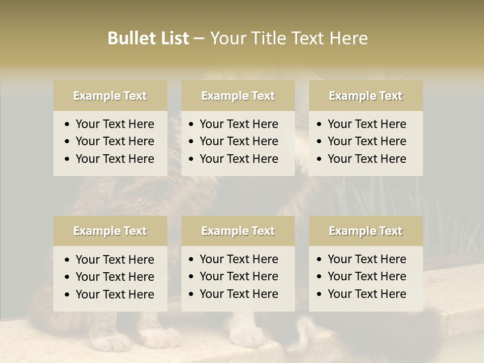Cuddly Domestic Sick PowerPoint Template