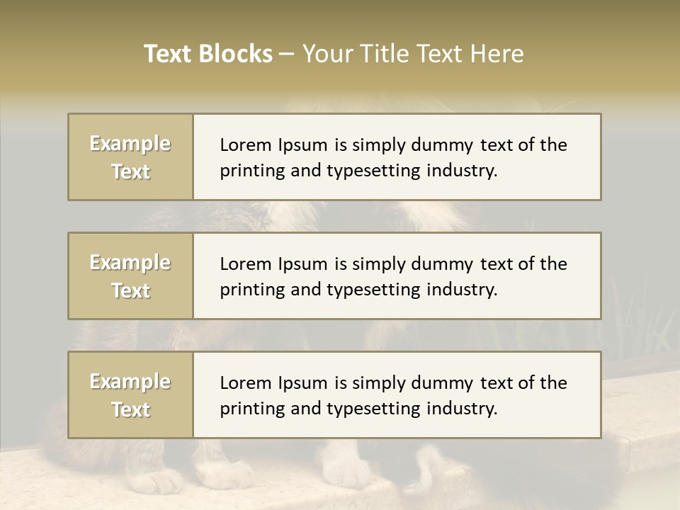 Cuddly Domestic Sick PowerPoint Template