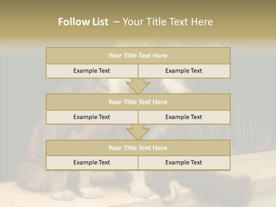 Cuddly Domestic Sick PowerPoint Template